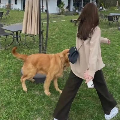 我们的快乐时光